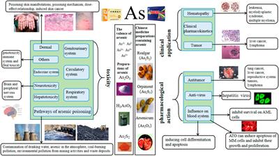 Research progress on arsenic, arsenic-containing medicinal materials, and arsenic-containing preparations: clinical application, pharmacological effects, and toxicity